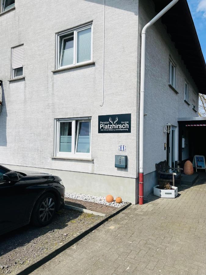 Pension Platzhirsch Mucke Екстер'єр фото